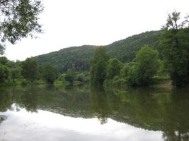 Sázava 5-Sázava-13.6.09 (1).JPG
